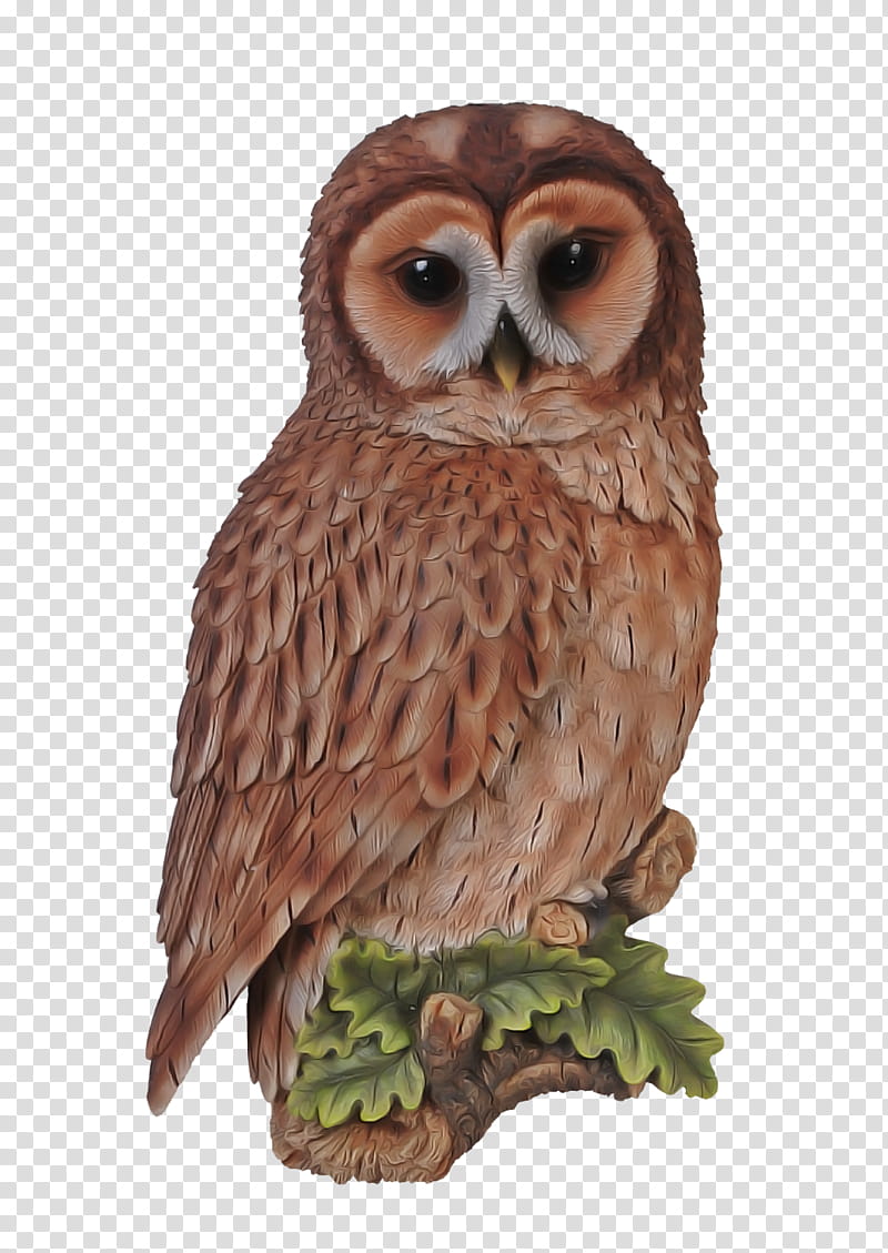 owl bird bird of prey great grey owl barn owl, Beak, Carving, Wildlife, Figurine transparent background PNG clipart