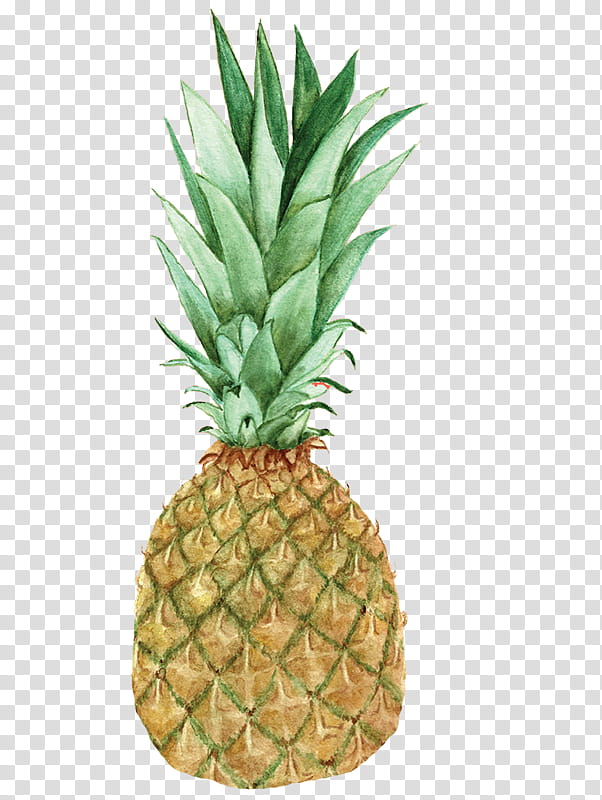 Banana Drawing, Pineapple, Fruit, Watermelon, Ananas Comosus, Watercolor Painting, Plant, Food transparent background PNG clipart