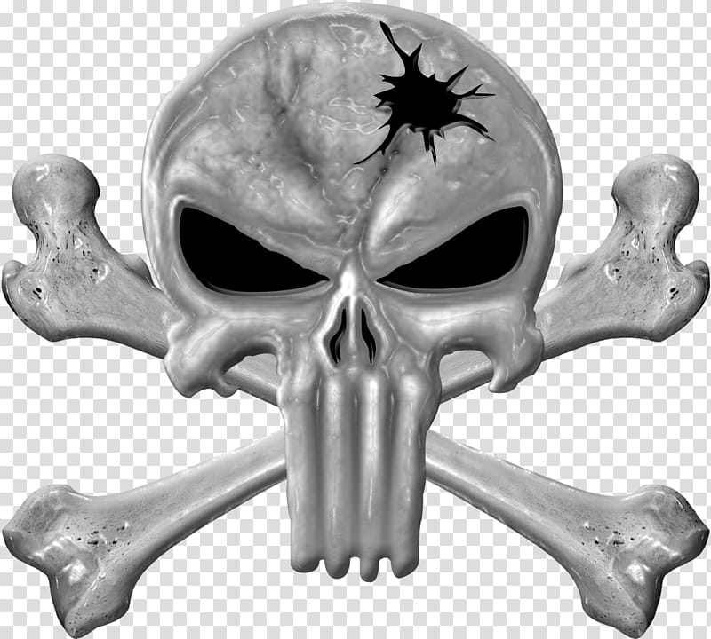 bone skull jaw skeleton transparent background PNG clipart