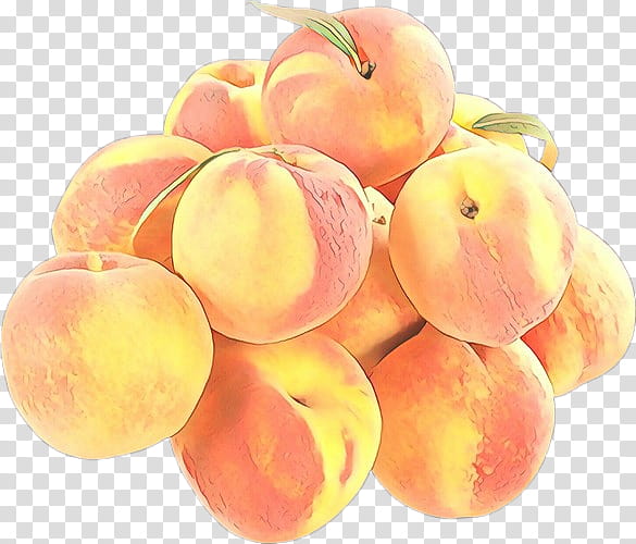 peach european plum fruit food plant, Cartoon, Grape, Seedless Fruit, Superfood, Vitis transparent background PNG clipart