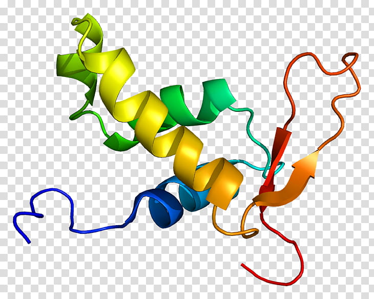 Text Box, Foxo4, Fox Proteins, Foxo6, Fork Head Domain, Foxo3, Foxo1, Forkhead Box L2 transparent background PNG clipart