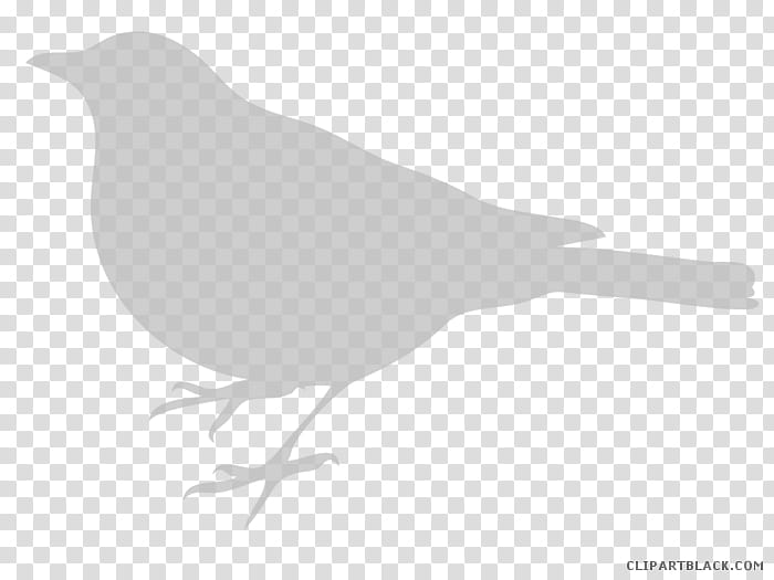 Bird Line Drawing, Silhouette, Birdcage, Line Art, Mockingbird, Beak, Black And White
, Emberizidae transparent background PNG clipart