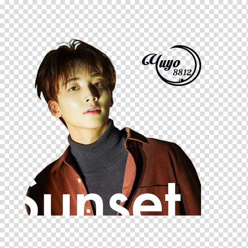 SEVENTEEN DIRECTORs CUT transparent background PNG clipart