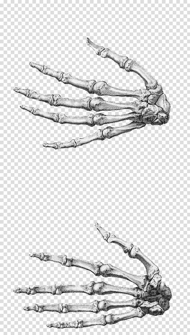 Hands, skeleton hands transparent background PNG clipart