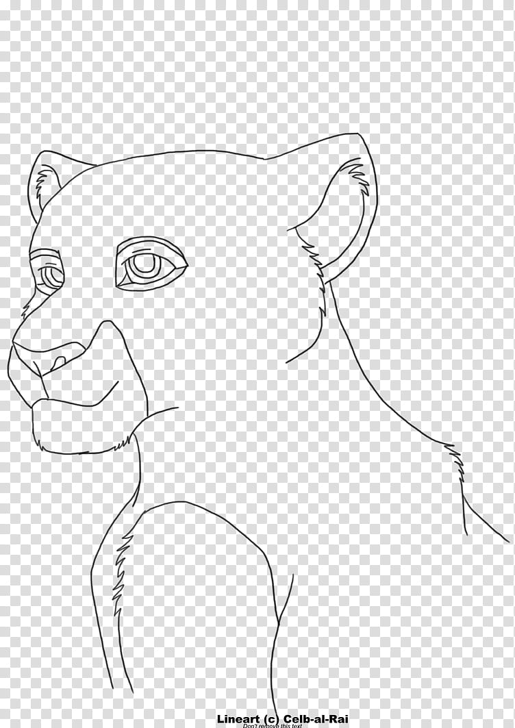Lioness line art transparent background PNG clipart