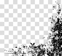 Borders, black floral corner border frame transparent background PNG clipart