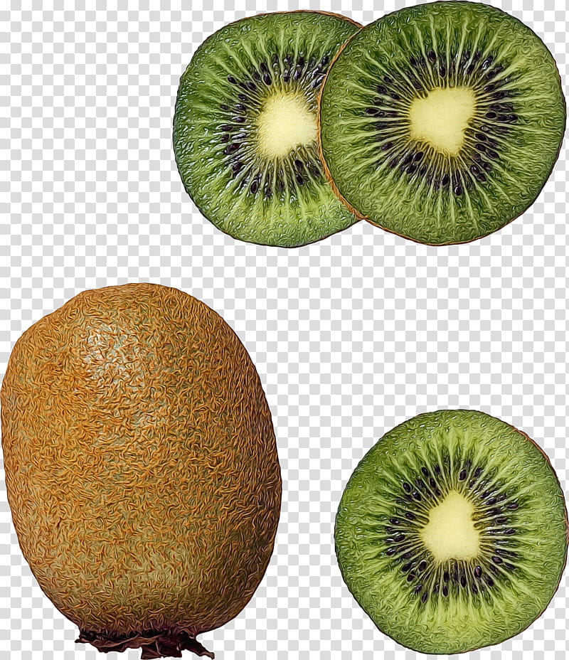 Kiwi Bird, Kiwifruit, Superfood, Hardy Kiwi, Plant, Flightless Bird transparent background PNG clipart