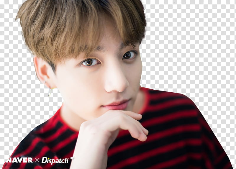 BTS XMAS DISPATCH  transparent background PNG clipart