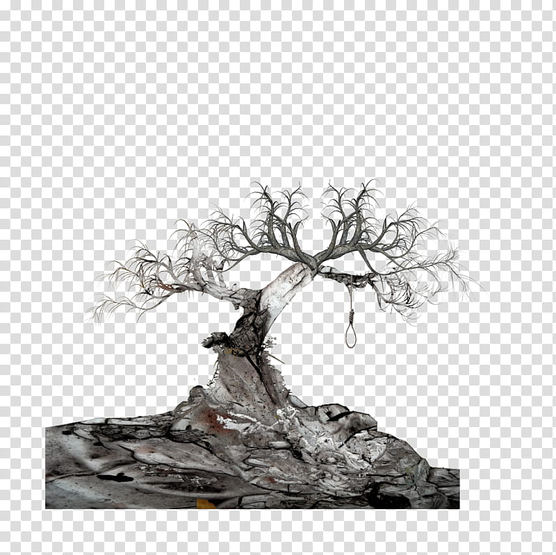 Hanging Tree, gray bare tree illustration transparent background PNG clipart