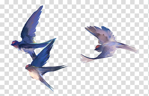 , three blue-and-gray birds transparent background PNG clipart