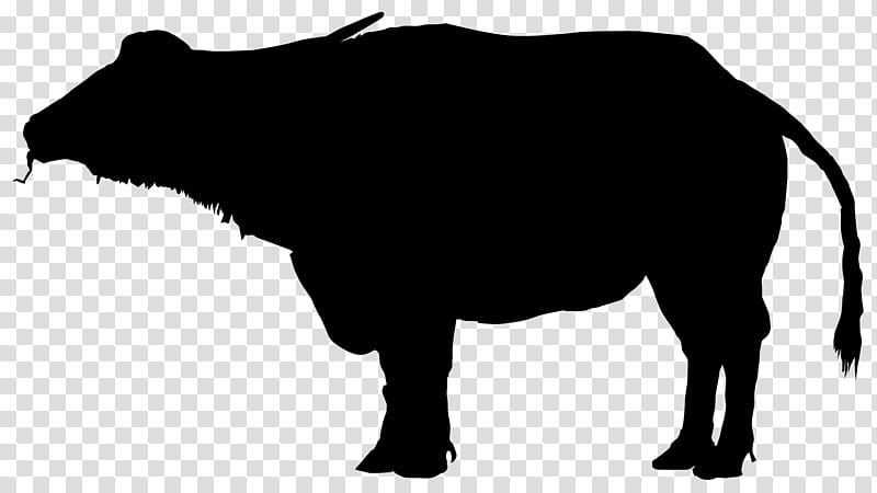 snout boar suidae bovine live, Live, Tapir transparent background PNG clipart