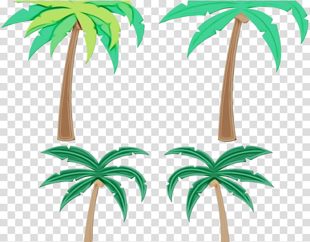 Coconut Tree Drawing, Watercolor, Paint, Wet Ink, Palm Trees, Silhouette, Sabal Palm, Fruit Tree transparent background PNG clipart