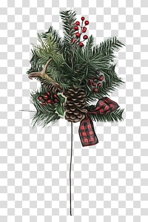Christmas decoration, Watercolor, Paint, Wet Ink, Oregon Pine, Colorado Spruce, Tree, Plant transparent background PNG clipart thumbnail