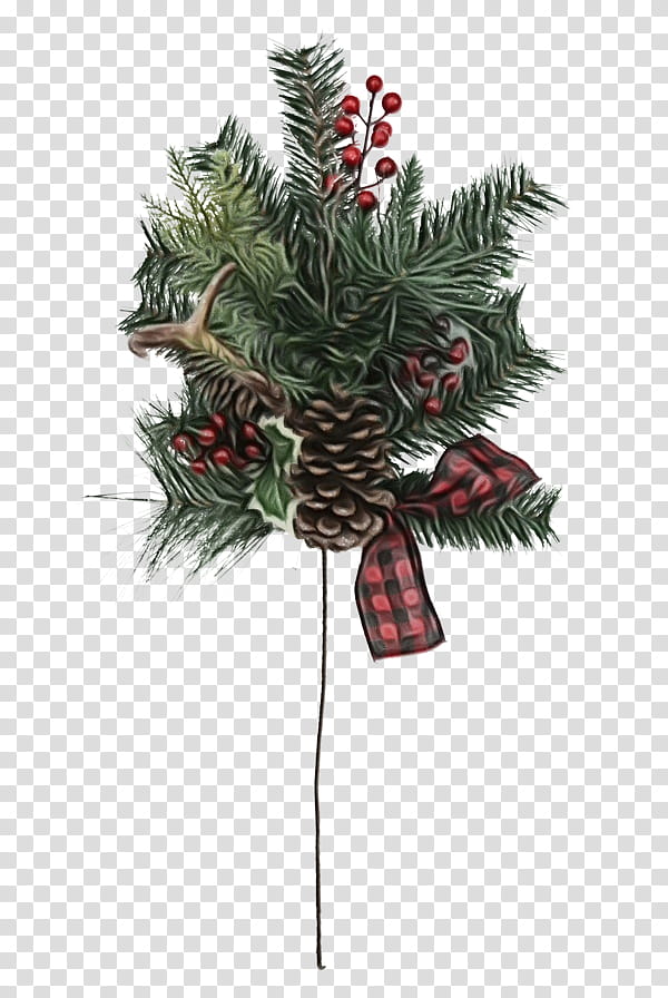 Christmas decoration, Watercolor, Paint, Wet Ink, Oregon Pine, Colorado Spruce, Tree, Plant transparent background PNG clipart