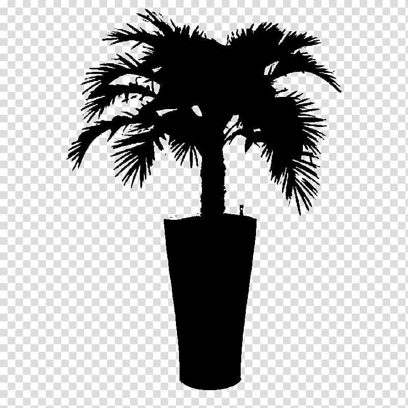 Palm Tree Silhouette, Asian Palmyra Palm, Black White M, Date Palm, Borassus, Arecales, Woody Plant, Flowerpot transparent background PNG clipart