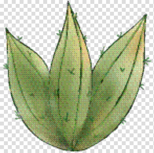 Aloe Vera Leaf, Plant Stem, Commodity, Plants, Aloes, Flower, Hemp Family, Plantago transparent background PNG clipart