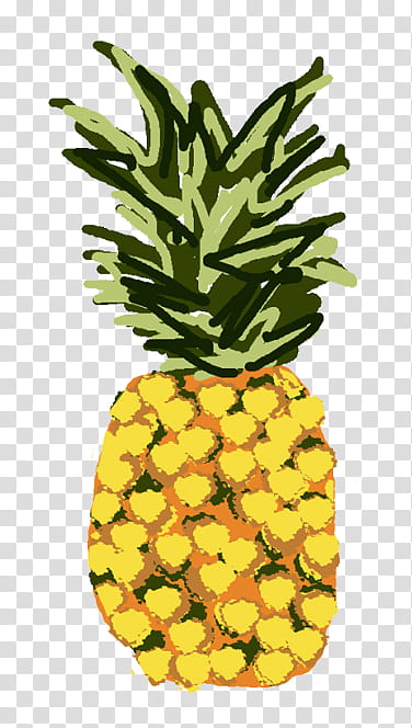 , yellow pineapple illustration transparent background PNG clipart