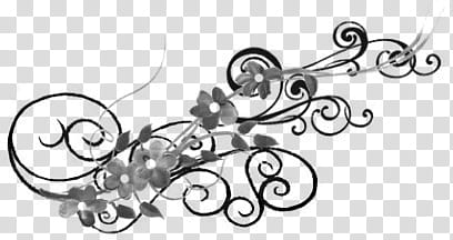 brushes, black and grey flower illustration transparent background PNG clipart