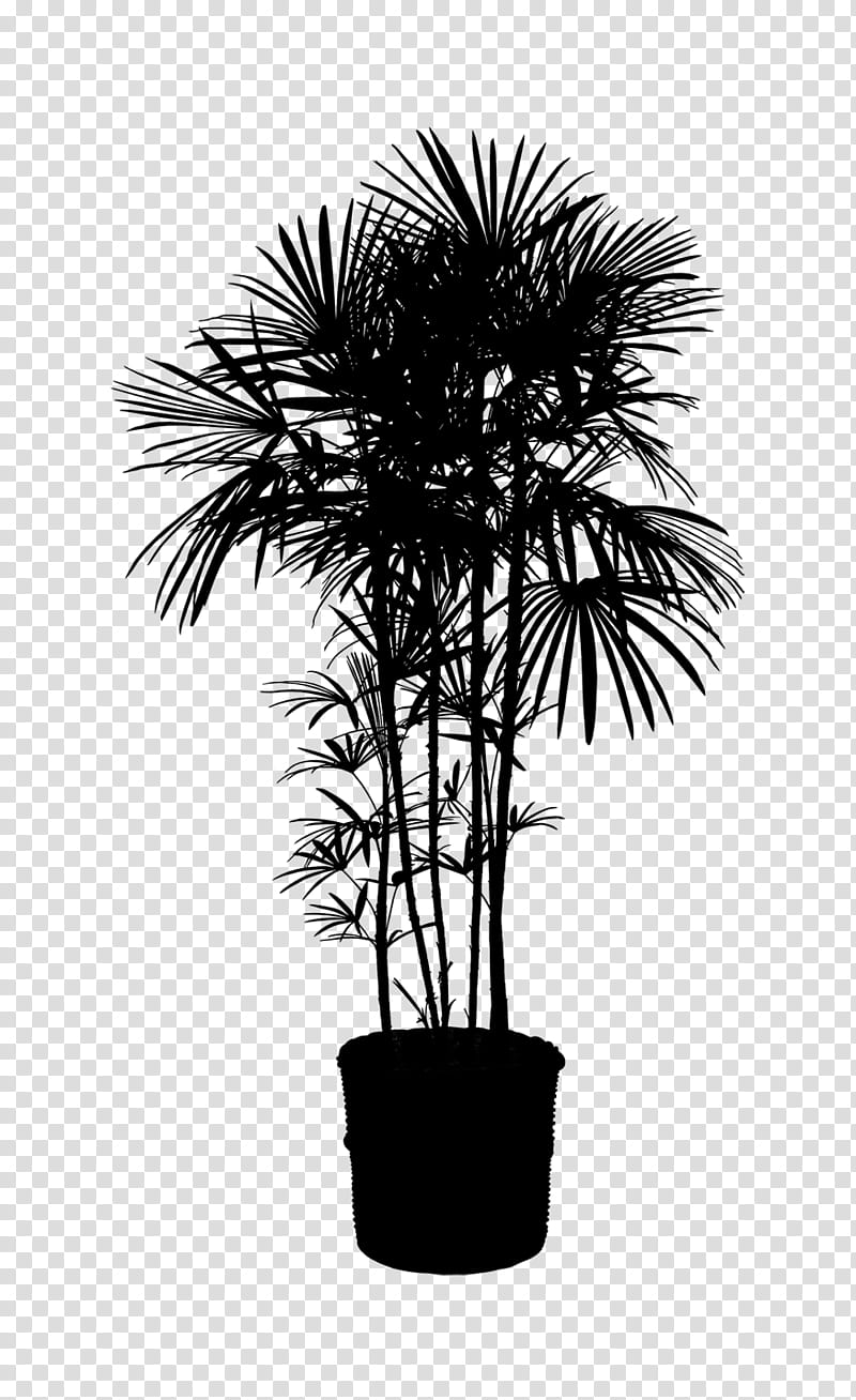 Palm Tree, Asian Palmyra Palm, Houseplant, Palm Trees, Plants, Areca Palm, Weeping Fig, Nearly Natural Inc transparent background PNG clipart