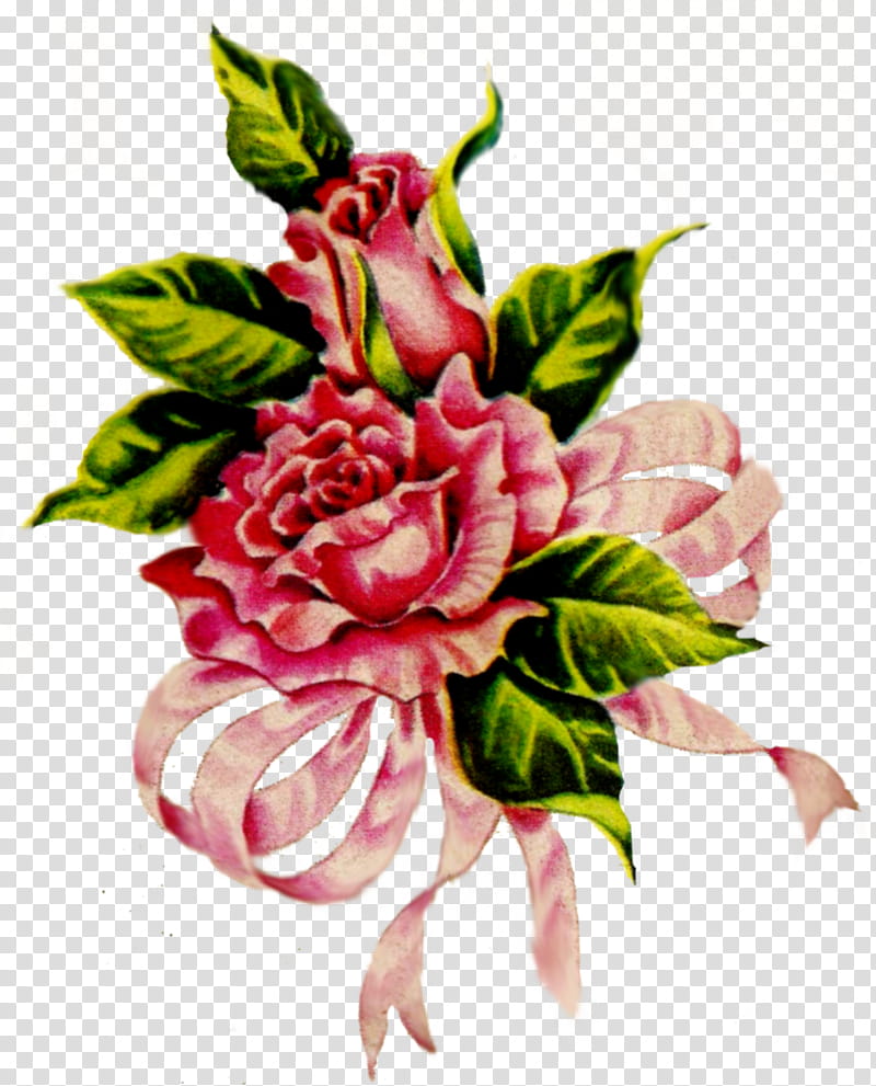 Jinifur Ribbon Rose, red rose flower illustration transparent background PNG clipart