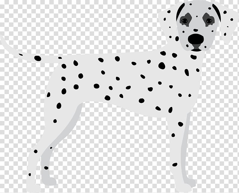 dog dalmatian animal figure non-sporting group snout, Nonsporting Group transparent background PNG clipart
