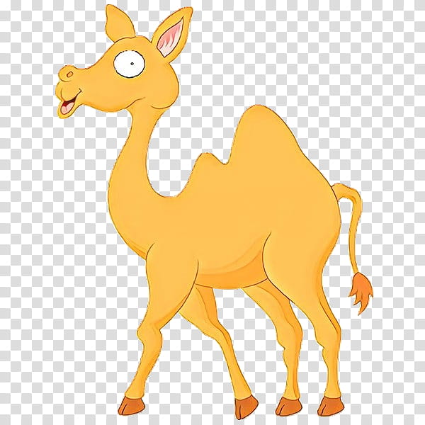 Llama, Camel, Cartoon, Camelid, Animal Figure, Wildlife, Fawn, Sticker transparent background PNG clipart