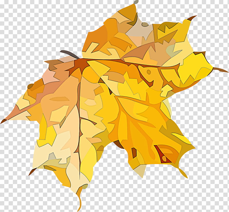 autumn leaf yellow leaf leaf, Tree, Maple Leaf, Black Maple, Woody Plant, Plane, Deciduous, Planetree Family transparent background PNG clipart
