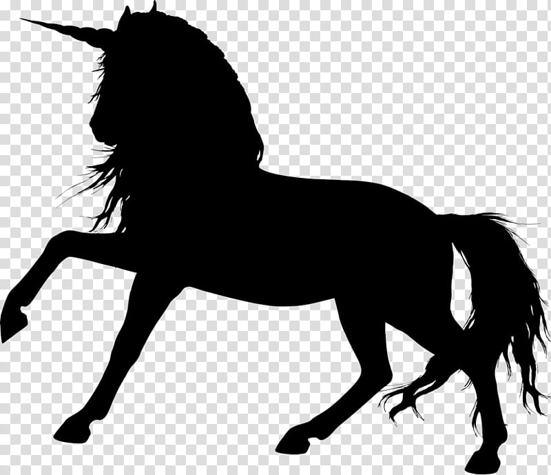 Unicorn, Mustang, Arabian Horse, Silhouette, Stallion, Rearing, White, Black transparent background PNG clipart