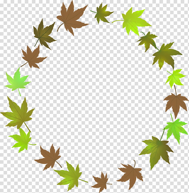 autumn leaf wreath leaves wreath thanksgiving, Plant, Tree, Maple Leaf, Plane, Ivy, Sweet Gum transparent background PNG clipart