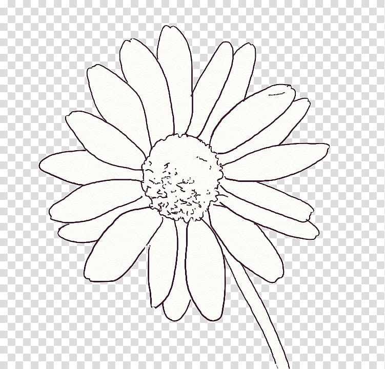Watch, white daisy flower art transparent background PNG clipart