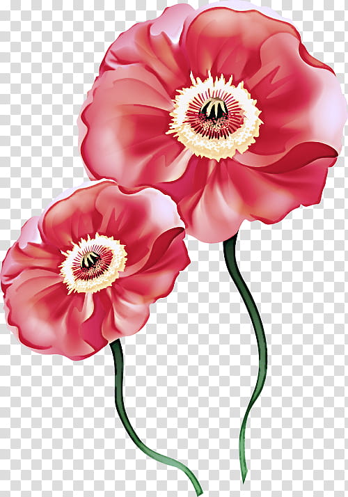 Artificial flower, Pink, Petal, Red, Cut Flowers, Plant, Poppy Family, Persian Buttercup transparent background PNG clipart