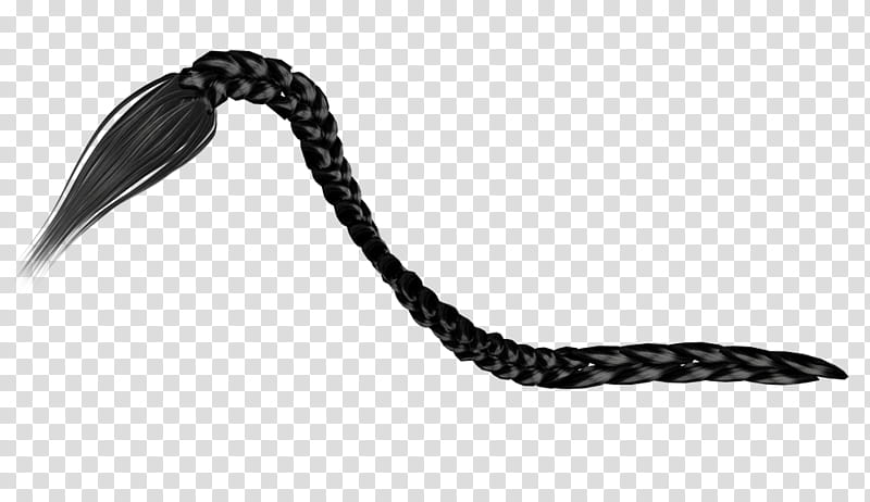 black braids, black hair illustration transparent background PNG clipart