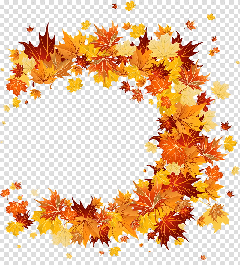 Autumn Leaf Drawing, Midautumn Festival, Autumn Leaf Color, Yellow, Tree, Plant transparent background PNG clipart