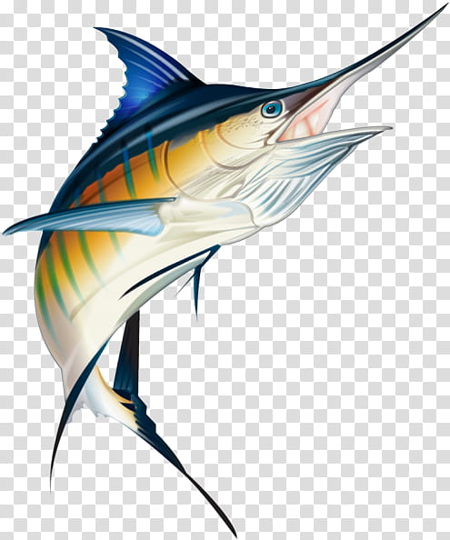 Painting, Atlantic Blue Marlin, Marlin Fishing, Drawing, Sticker, Wahoo, Mahimahi, Sailfish transparent background PNG clipart