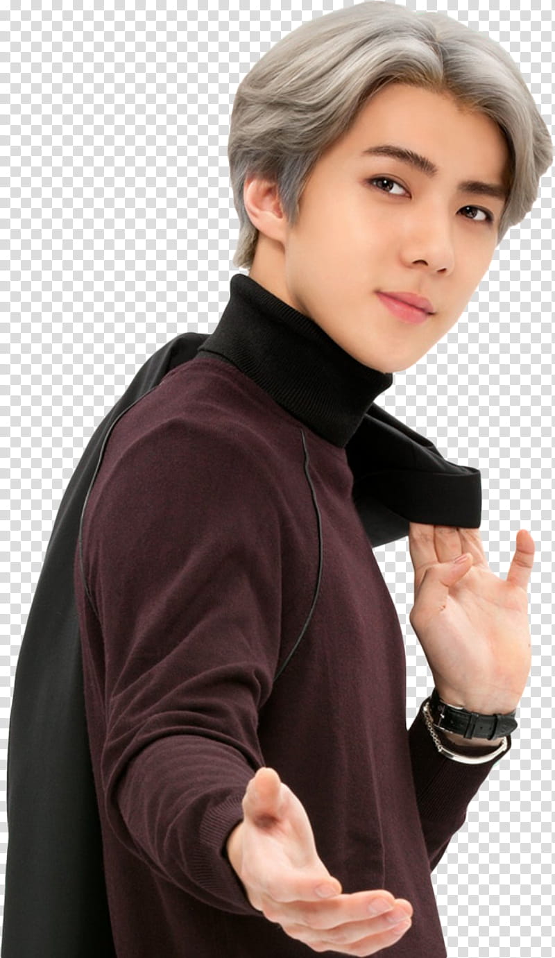 Sehun EXO LOVE PLANET transparent background PNG clipart