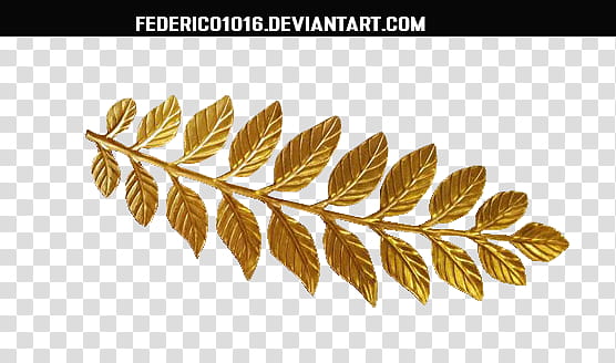 Hojas Doradas, gold leaf hair decor illustration transparent background PNG clipart