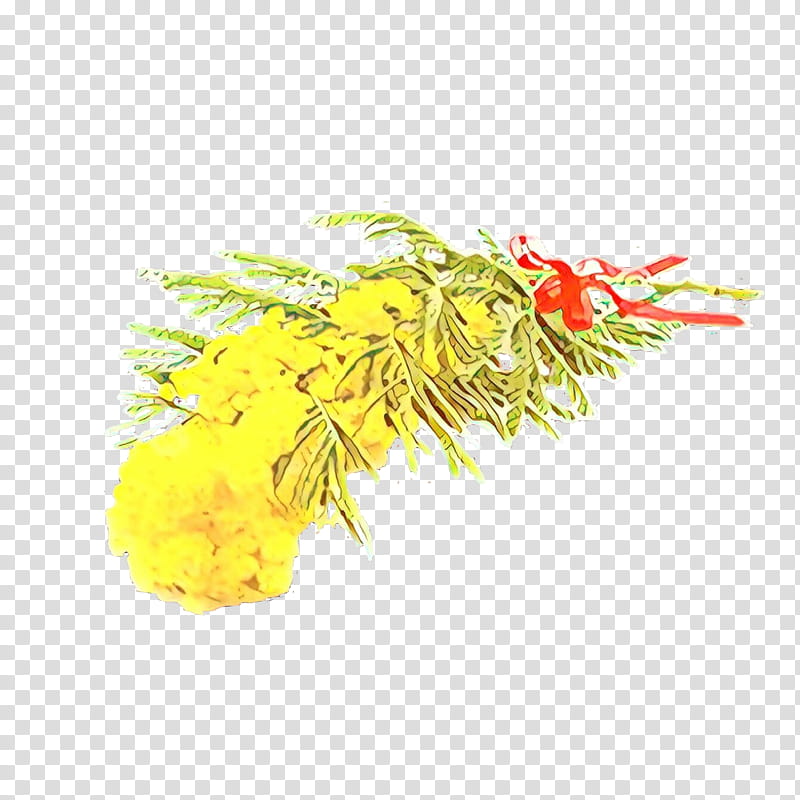 yellow flower plant goldenrod, Cartoon transparent background PNG clipart