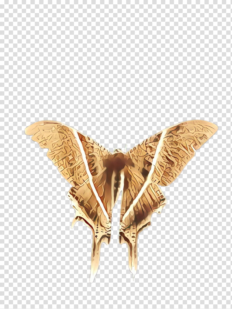 moth insect moths and butterflies bombycidae bombyx mori, Cartoon, Wing, Lymantria Dispar Dispar, Pollinator, Cutworms transparent background PNG clipart