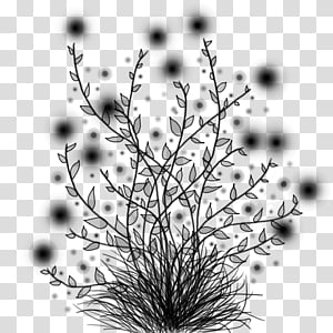 Black Tree, Twig, Plant Stem, Leaf, Computer, Line, Plants, Black M transparent background PNG clipart thumbnail