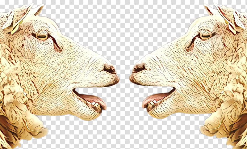 goats nose live snout animal figure, Live, Cowgoat Family transparent background PNG clipart