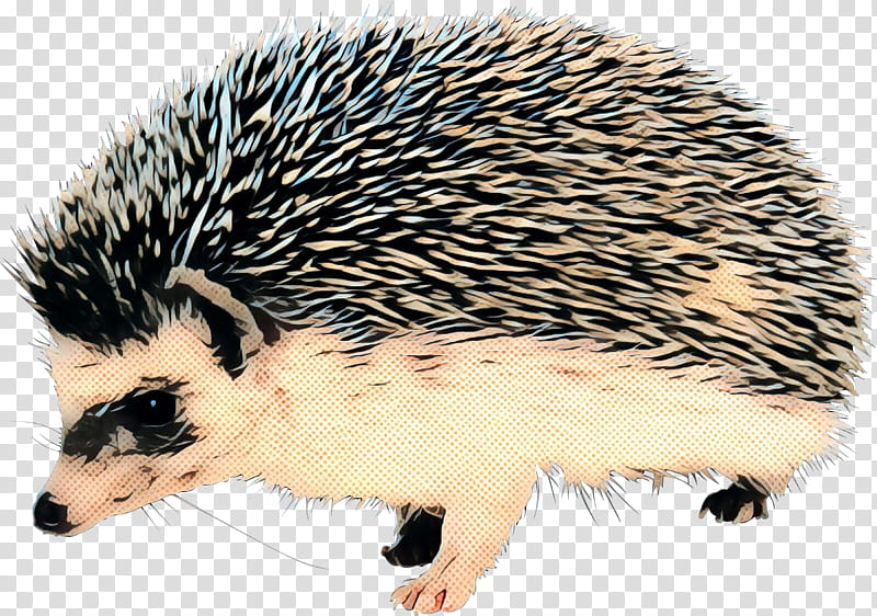 Hamster, Hedgehog, Domesticated Hedgehog, Porcupine, Hedgehog And The Fox, European Hedgehog, Fourtoed Hedgehog, North American Porcupine transparent background PNG clipart