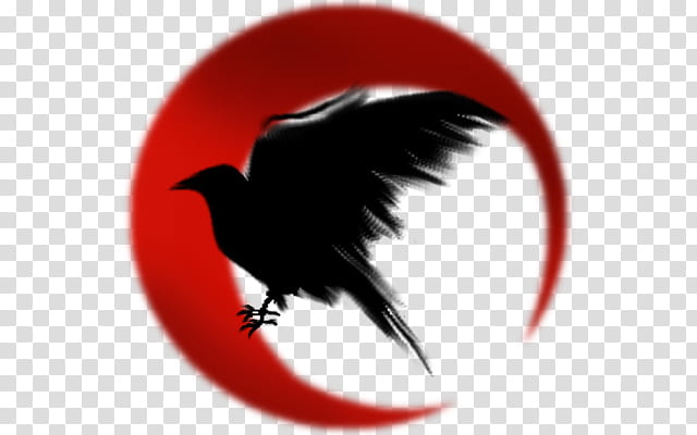 Death, Common Raven, Symbol, Crow, Meaning, Cultural Depictions Of Ravens, Drawing, Huginn And Muninn transparent background PNG clipart