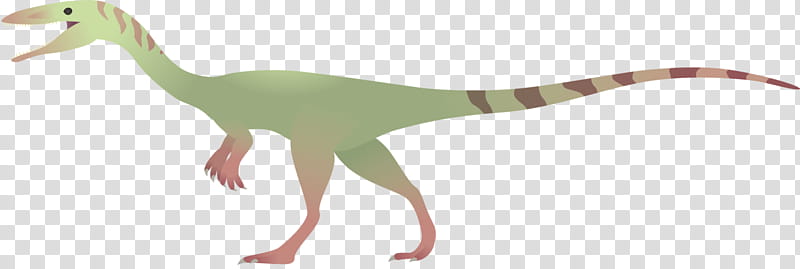 Social Media, Coelophysis, Velociraptor, Drawing, Postosuchus, Online Community, Walking With Dinosaurs, Tyrannosaurus transparent background PNG clipart