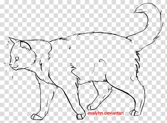 cat outline, white and black cat illustration transparent background PNG clipart