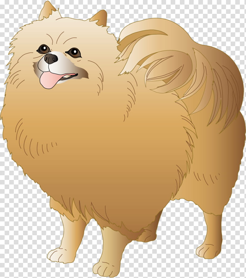 Dog Drawing, German Spitz Klein, Pomeranian, Breed, Snout, Blog, Animal, German Spitz Mittel transparent background PNG clipart