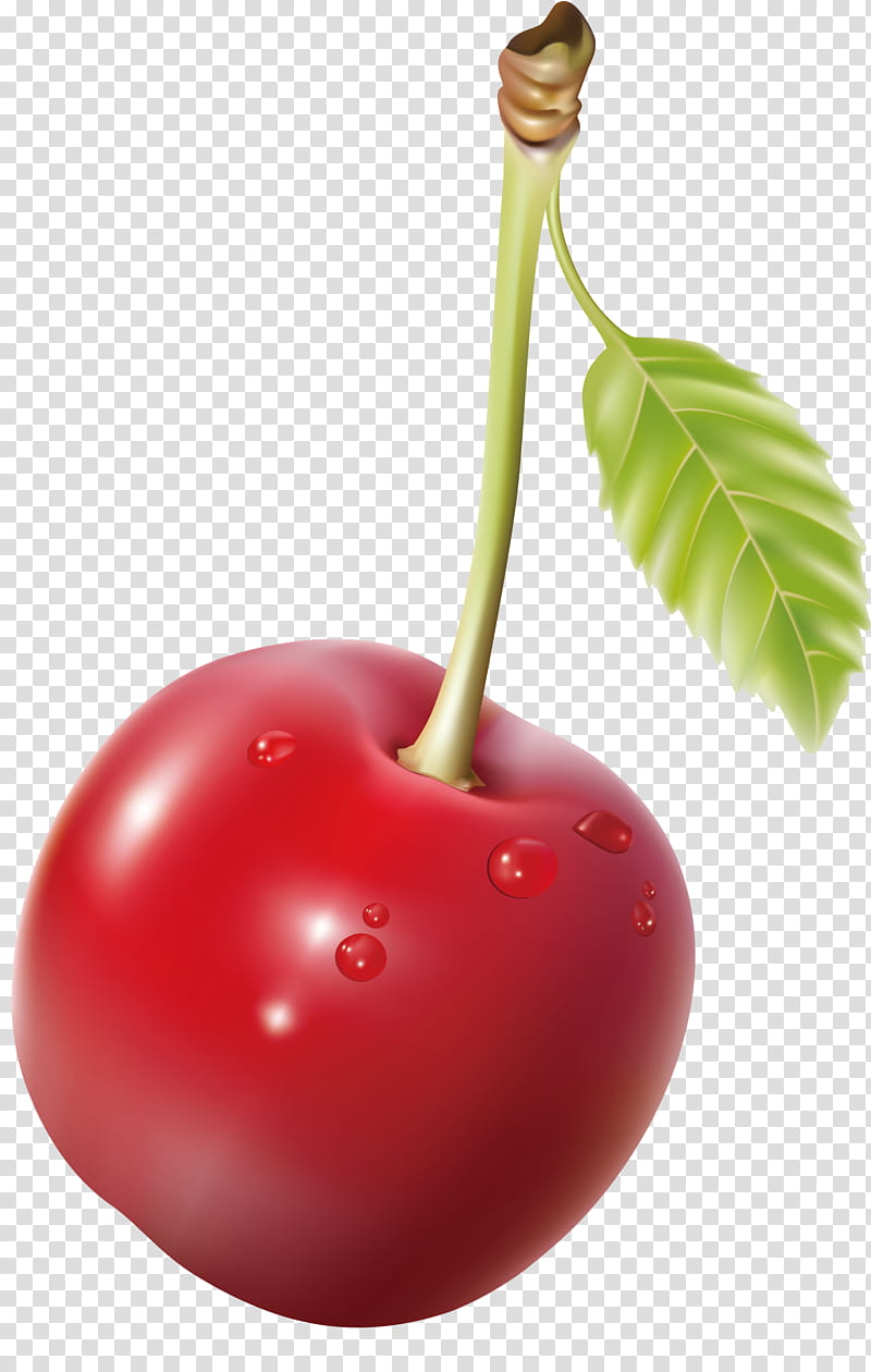 cherry fruit, Plant, Tree, Food, Natural Foods, Drupe, Flower, Plant Stem transparent background PNG clipart