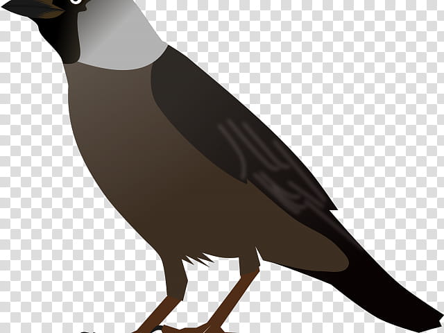 Sitting Myna: Over 17 Royalty-Free Licensable Stock Illustrations & Drawings  | Shutterstock