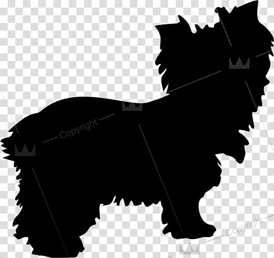 Dog And Cat, Persian Cat, Sticker, Decal, Paper, Bumper Sticker, Logo, Sign transparent background PNG clipart