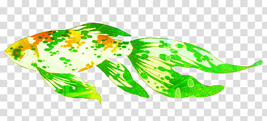 Watchers, green fish illustration transparent background PNG clipart