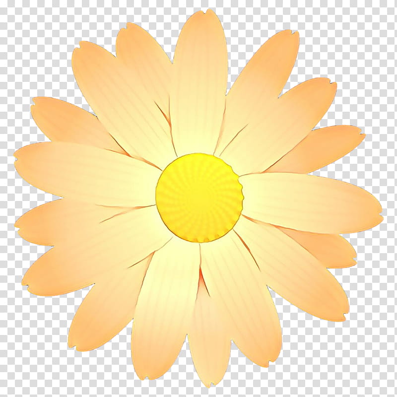 Daisy, Yellow, Petal, Gerbera, Flower, Chamomile, Plant, Mayweed, Sunflower transparent background PNG clipart